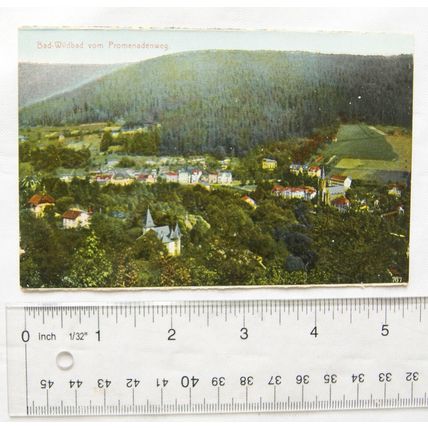 vintage Postcard Bad Wildbad vom Promenadenweg