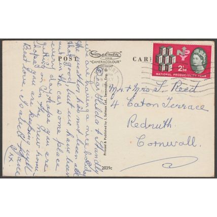 Welsh National Museum, Cardiff, Glamorganshire, 1963 - Salmon Postcard