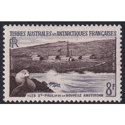 French Antarctic Territories 1956 SG 9 MM - Fauna/Seals (C-219 (6))