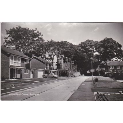 BP986 PADIHAM - WOODLAND GROVE . RP POSTCARD