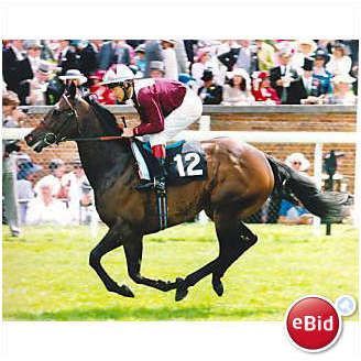 RACEHORSE Press Photo GARAH Pat Eddery ROYAL ASCOT 1993