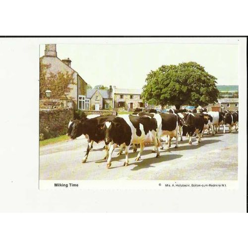 MILKING TIME Postcard by Women's Institure