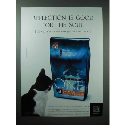 1999 Purina One Cat Food Ad - Reflection is Good