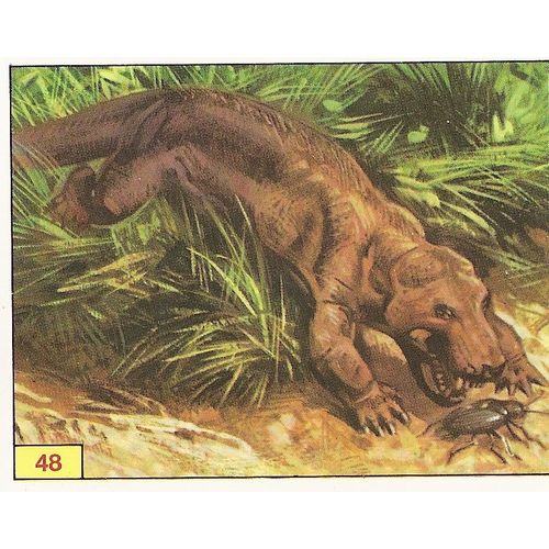 Panini's Dinosaurs Sticker Collection - Sticker No. 48