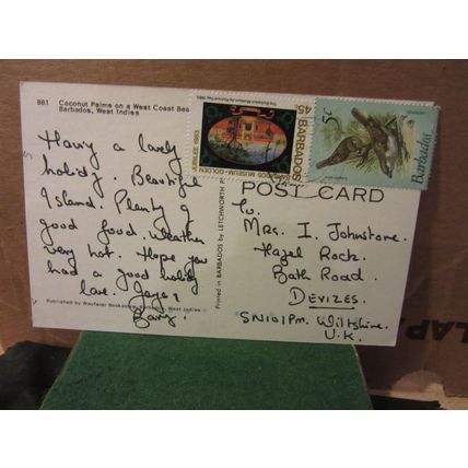 COCONUT PALMS, BARBADOS, WEST INDIES used postcard 1980 stamp =