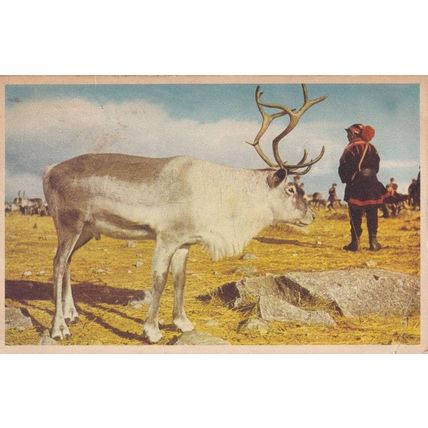 Lappland Sweden Old Postcard