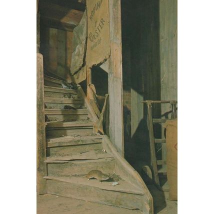 Llanthony Antique Staircase Gloucester Harbour Docks Vintage Musuem Postcard