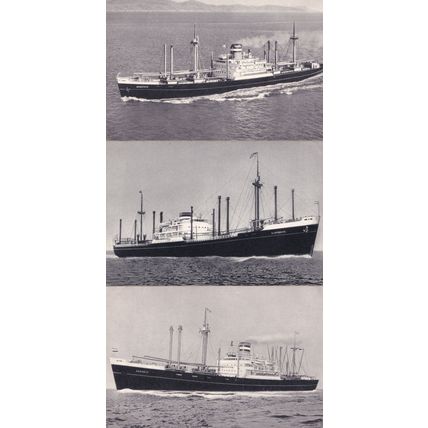 SS Schiedyk Sloterdyk Soestdyk Holland 3x America Line Ship Postcard s