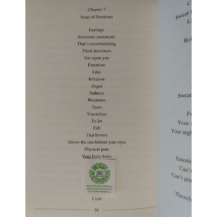SIGNED PRIVATE PRESS SPIRITUAL PREGNANCY AND GIVING BIRTH by REBEKAH JOHN