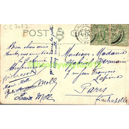 Beeches in Epping Forest, Essex, Rare Poor Hartmann Postcard 1909