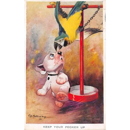 G E Studdy : Keep your pecker up : "Bonzo" postcard 1126 pu