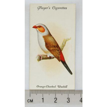 1933 John Player & Sons Aviary & Cage Birds 39 Orange-Cheeked Waxbill