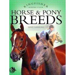 Horse Pony Breeds