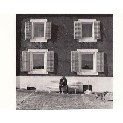 Yvon Lambert Belgium 1985 Dog Howling Giant Shutter Frame Windows Postcard