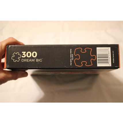 DREAM BIG 300 PIECE PUZZLE SEALED CATS TIGERS