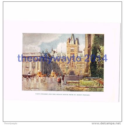 Caius College and the Senate House, Cambridge, England, Book Illustration (Print