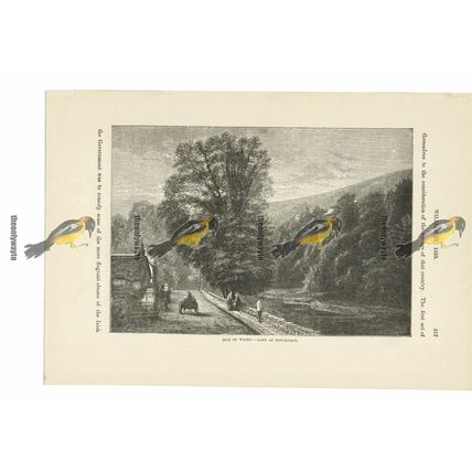 Lake At Bonchurch, IOW, Book Illustration (Print), c1870