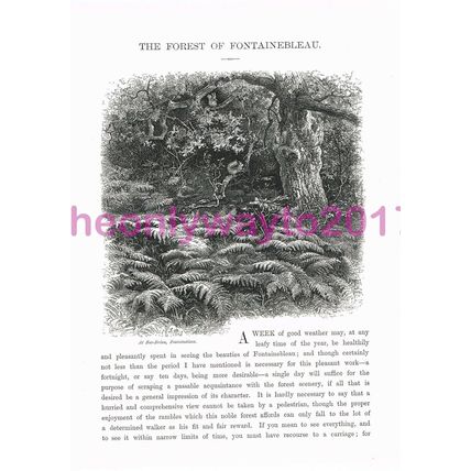 Bas-Breau, Fontainbleau, France, Book Illustration (Print), c1875