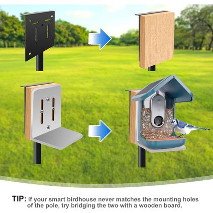 Qwayhome Upgrade 80In Smart Bird Feeder Pole, Outdoor Bluebird House Pole Mount