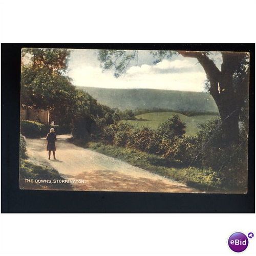 Sussex STORRINGTON Downs Postcard (No.1)