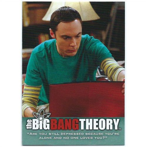 The Big Bang Theory Seasons 3 & 4 - #47