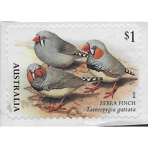AUS 2018 $1.00 (S/A) 'BIRDS -FINCHES -ZEBRA' ON PAPER FINE USED (EBID25-883)