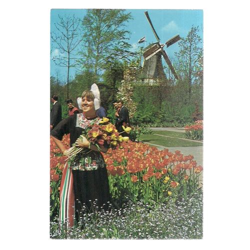 HOLLAND IN FLOWER DECORATION unused vintage postcard national dress =