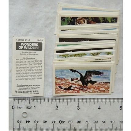1976 complete set 50 Brooke Bond Wonders of Wildlife - loose