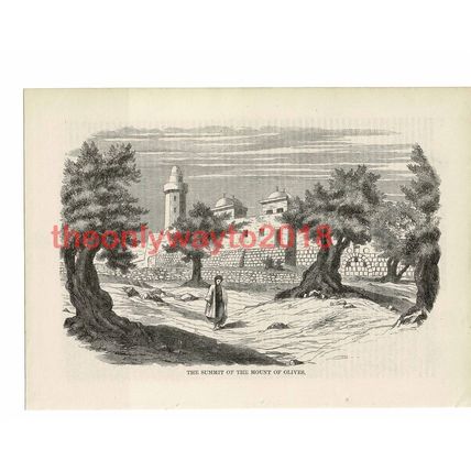 Summit of the Mount of Olives, Holy Land, Book Illustration (Print), 1861