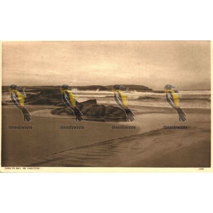 Harlyn Bay, Nr Padstow, Cornwall, 11597 Postcard