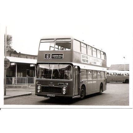 Black & White Photograph of Maidstone & District Motor Services Ltd. - RKO 817M