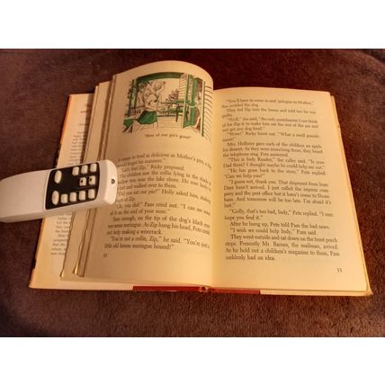 The Happy Hollister's And The Indian Treasure By Jerry West W/Dustjacket 1953