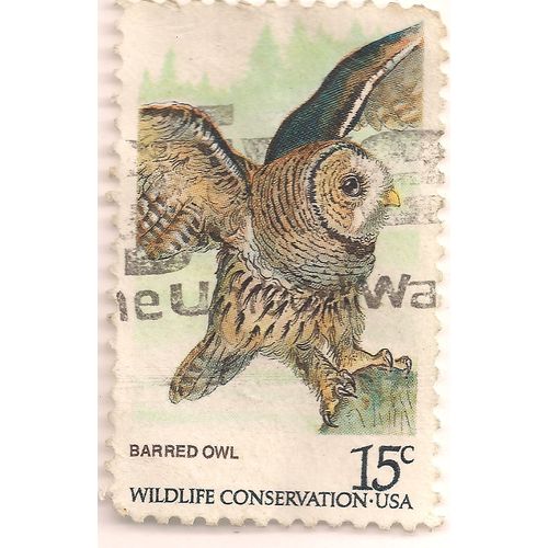 USA, BIRD, Barred Owl, white 1978, 15 c