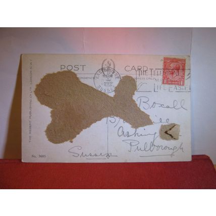 HALF-PINT MEASURES, SEASIDE HUMOUR used vintage postcard 1932 pm #