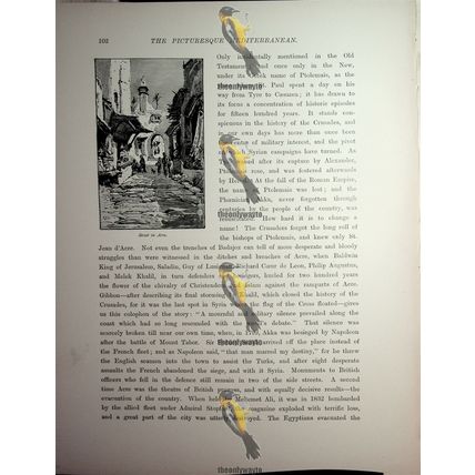 Coffee House, Haifa, Israel (Reverse, Street In Acre), Book Illustration, 1890