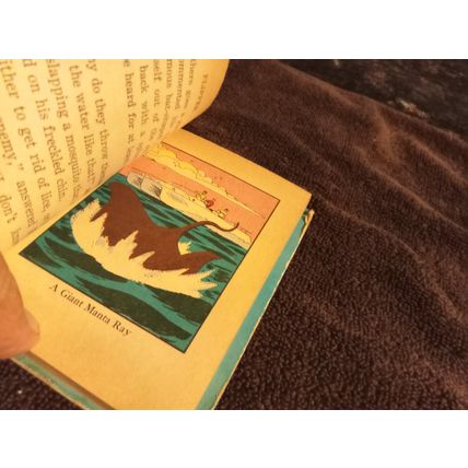 Big Little Book Flipper Killer Whale Trouble # 2003 By George S Elrick 1967