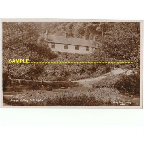 Scarborough 1925 real Photo, Forge Valley Cottages, children, East Ayton