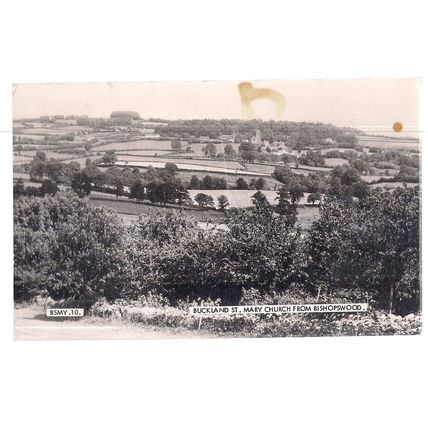 BUCKLAND St. MARY CHURCH, Devon. used vintage postcard RP by Frith. 1975 pm =