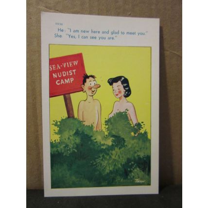 SAUCY SEASIDE POSTCARD unused Brook Pubs. Co, no 11936 nudist camp comic humour