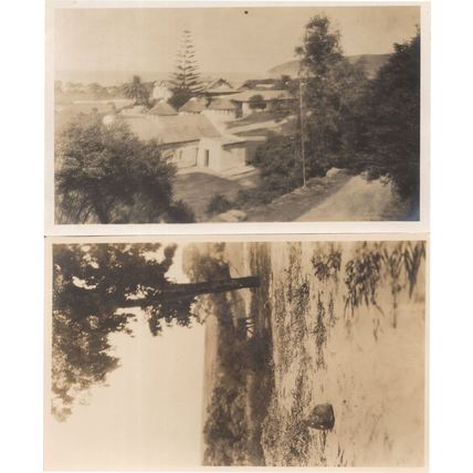 South Africa Houses in Wilderness Baboon 2x Old Photo Postcard s