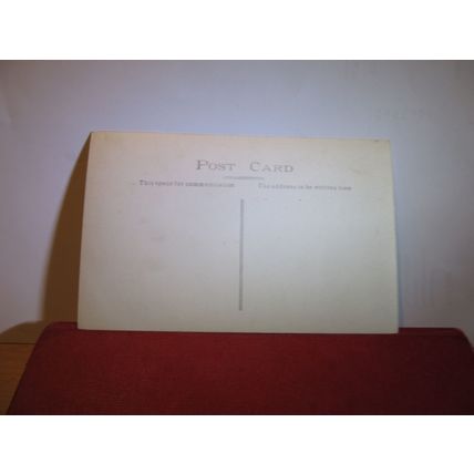 SEVEN SISTERS ROCKS, SYMONDS YAT, unused postcard RP =