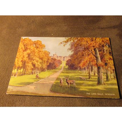 Valentines postcard - The Long Walk, Windsor Castle - Artist E.W.H A1399