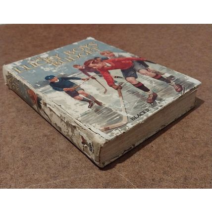 The Lucky Boys' Budget (Old Hardback Book)