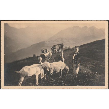 Eine Gruppe von Jungen mit einem Paar Ziegen, 1914 - Wehrli Foto-AK