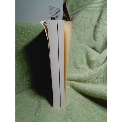 Evening News, by Marly Swick PB Printer's Proof / ARC