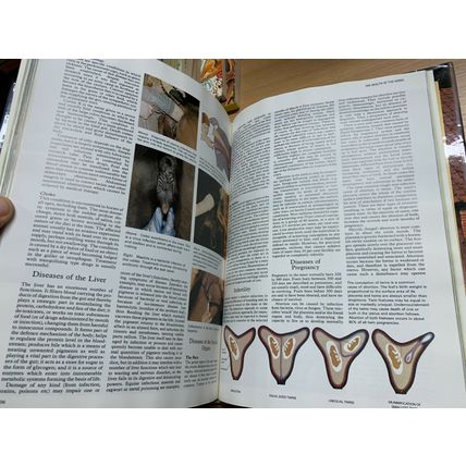 1981 "ENCYCLOPEDIA OF THE HORSE" HEAVY LARGE ILLUSTRATED HARDBACK BOOK (P7)