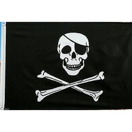 DISNEY PIRATE SKULL W/ CROSSBONES FLAG~NEW~3' X 5' ROOM GARAGE DECOR. HALLOWEEN