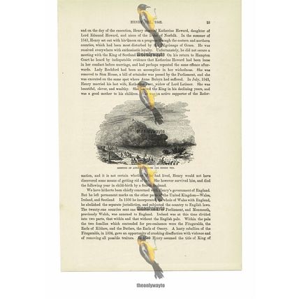 Anne Of Cleves Meets Henry VIII , Book Illustration (Print), c1870