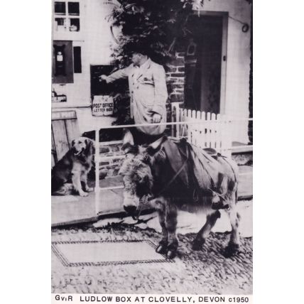 Ludlow Clovelly Devon Royal Mail Pillar Box Real Photo Postcard