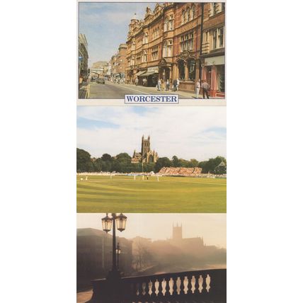 Worcester Cathedral and County Cricket Ground Bridge 3x Postcard